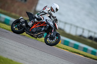 PJ-Motorsport-2019;anglesey-no-limits-trackday;anglesey-photographs;anglesey-trackday-photographs;enduro-digital-images;event-digital-images;eventdigitalimages;no-limits-trackdays;peter-wileman-photography;racing-digital-images;trac-mon;trackday-digital-images;trackday-photos;ty-croes
